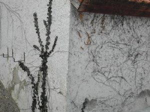 Farbabplatzungen, Putzabplatzungen Haus schätzen Putzabplatzungen Farbabplatzungen Haus schätzen