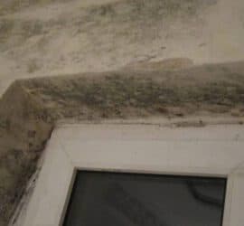 Mieter lüftet nicht oder Mietmangel