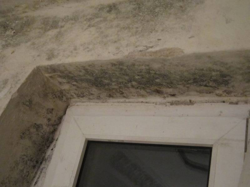 Mieter lüftet nicht oder Mietmangel