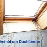 Schimmelpilz Immobilienexperte - Hausschätzer altes Haus ohne einen Makler verkaufen, auf Mängel hinweisen Haushalt, Wohnung , Schimmelbefall, Immobiliencheck-Hausinspektion Bauabnahme Eigentumswohnung Schimmel am Dachfenster