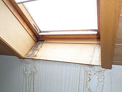 Schimmel am Dachfenster Velux Hauskauf Checkliste Altbau Fenster verschimmelte Dachfenster