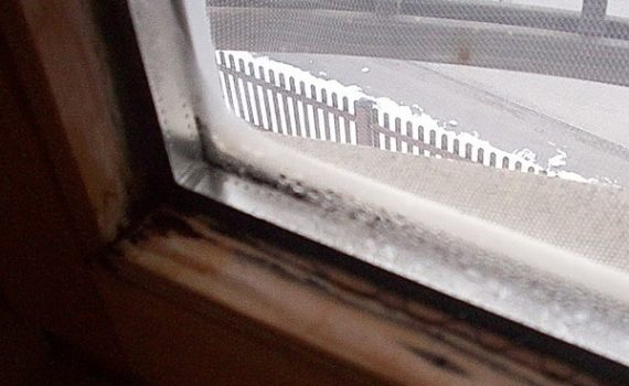 Schimmelpilz nach Fensteraustausch