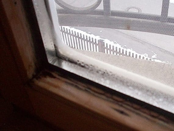 Schimmelpilz nach Fensteraustausch